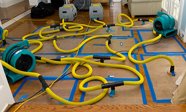 Professional Structural Drying And Dehumidification technician working in Louisville, NE